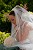 Nelius Buckley Wedding Photography Sample