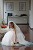 Nelius Buckley Wedding Photography Sample
